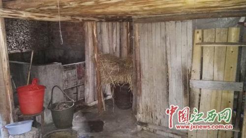 九旬老太在家中烤火遭嫌弃 被养子赶进猪圈居住