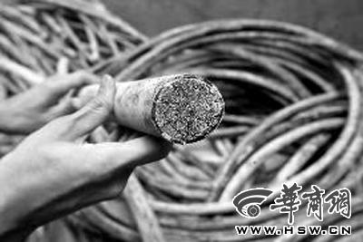 员工白天铺设通讯电缆 深夜盗割获赃10余万