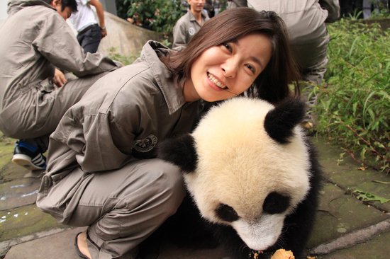 第四届动物与自然电影周名人明星认养大熊猫