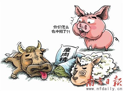外地瘦肉精牛羊尚未流入广东市场 