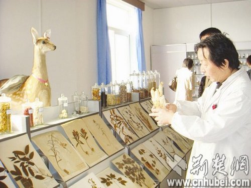 女童吃燕窝雪蛤性早熟 高档滋补品进补陷误区