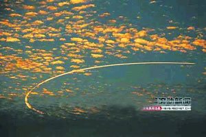 北京天文馆馆长称外星人存在 但未造访地球(图)