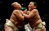 日本举办小学生相扑大赛