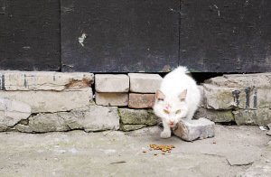 Сè�����˰��¼Һ������