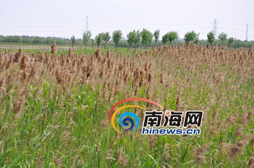 杭州湾新区：北纬30度 海上新世界