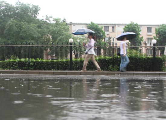 北京普降大雨。申敏夏 摄