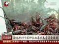 视频：南京小龙虾致病之谜有望今天解开