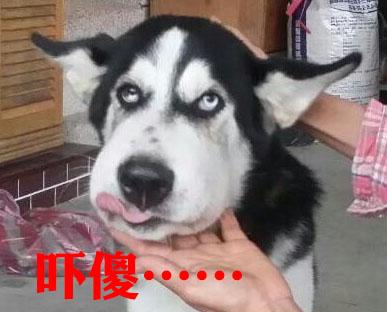 ң
