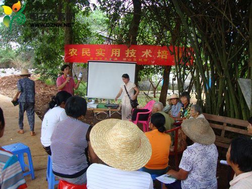 三门坡镇大水村举办农民实用技术培训班