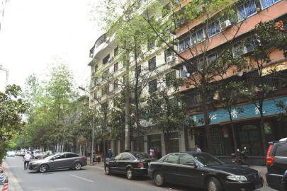 成都街头天降虫雨 一车爬满近百条毛虫