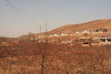 山东省级贫困县以新农村建设名义建24栋别墅