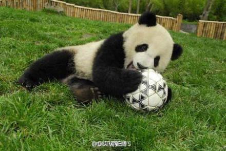 “èԤ籭”ȡ