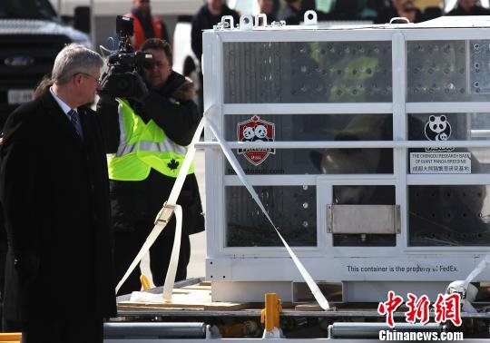 中国大熊猫抵加拿大 加总理夫妇赴机场迎接(图