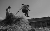 村民与艺术家的影像实验