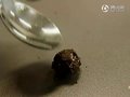 视频：南京女子在德芙巧克力里吃出活虫