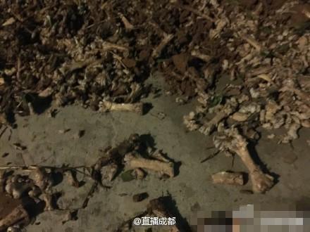 四川一小学校被曝用臭鸡骨熬汤 校方曾欲销毁
