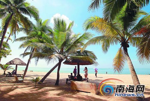 文昌东郊椰林风景区 海南日报记者张杰摄