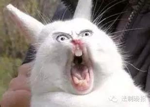 FDA警告马应龙 止咳药含吗啡  该药中国有售(图