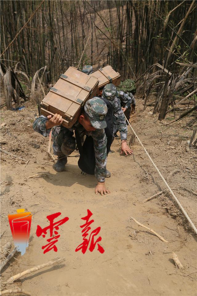 中越边境第三次排雷行动中 那些不为人知的细节