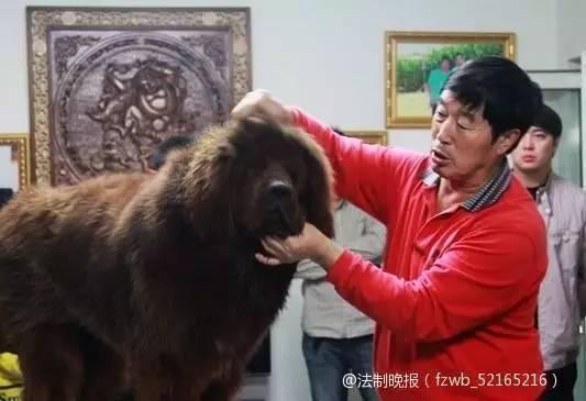 除了兴奋剂丑闻 被教练马俊仁欺骗的还有这些