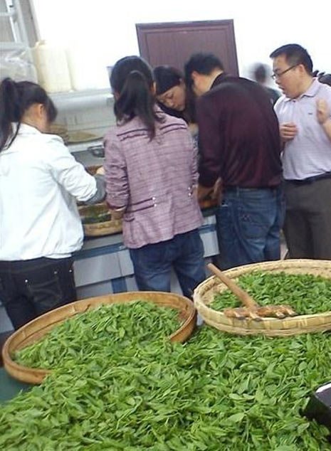 走进延寿县御禄园：一片养生圣地