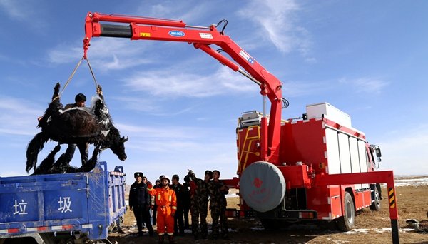 青海22头牦牛饮水坠入湖成冰牛 牧民不知所措(图)