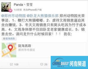 网友称大熊猫锦意曾被逼“坐台”吃窝头 园方否认(图)