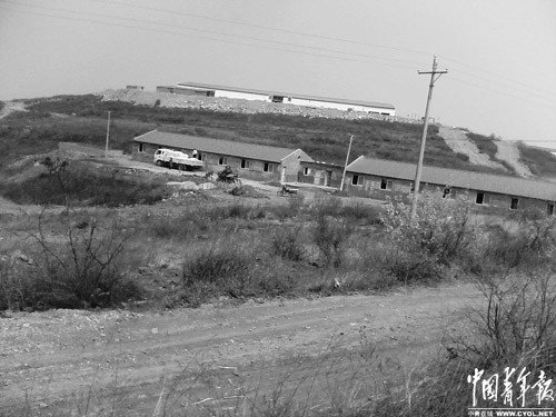 郑州天价“生态猪”养殖场坑农民 污染当地环境