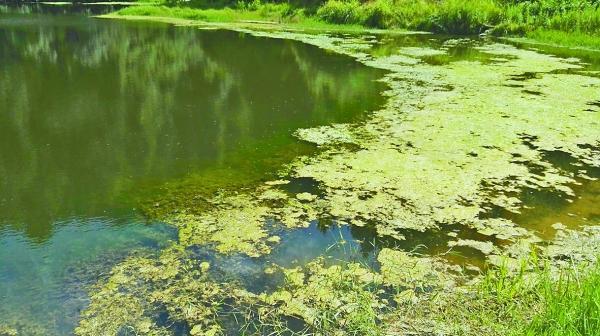 贵州一水库污染4千村民饮水难 源头至今未确定