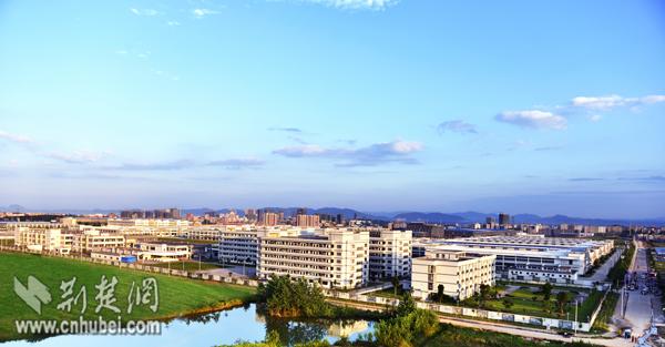 荆楚网友看阳新 见证红色老区辉煌巨变(图)