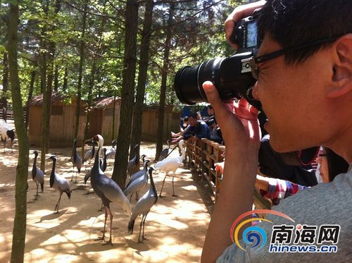 鄱阳湖国家湿地公园 湖光山色中的大草原气势逼人