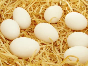 警惕:八种食物和鸡蛋相克 同吃等于自杀!