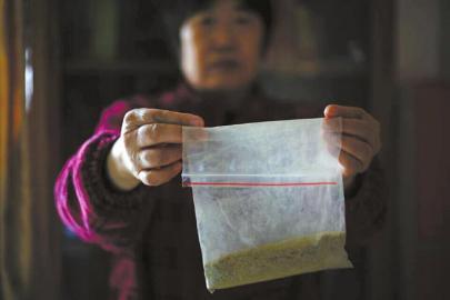 云南“天价”石斛3千元一把 网上最贵3元每克