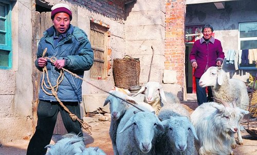 男子救人得心脏病将失明 有关部门称只能同情