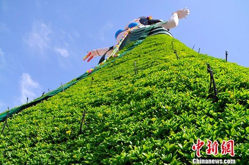 ��³ľ�뽨18�׸߷���Ů���� ���ѳ��β�̫��