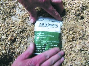 河北昌黎等地被曝喂羊瘦肉精已多年 羊销往各地