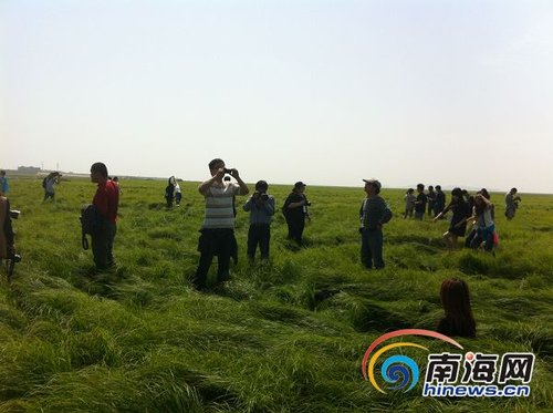 鄱阳湖国家湿地公园 湖光山色中的大草原气势逼人