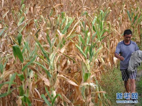 今年为11年来最旱7月 全国大部天气干热