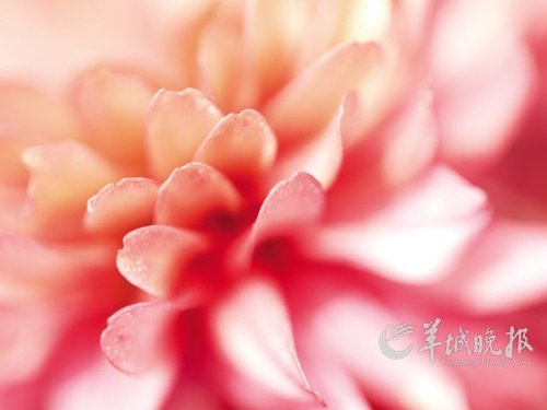 登珠峰要花多少钱?