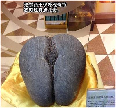 小伙性趣挺浓,可智商堪忧啊_新闻_腾讯网