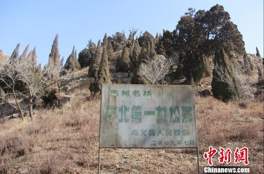 ������һ�Ŷ���Ⱥ�ļ����� ������䳬400��