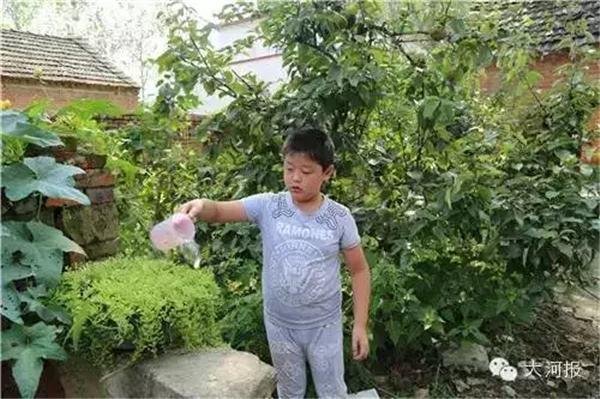 文章配图