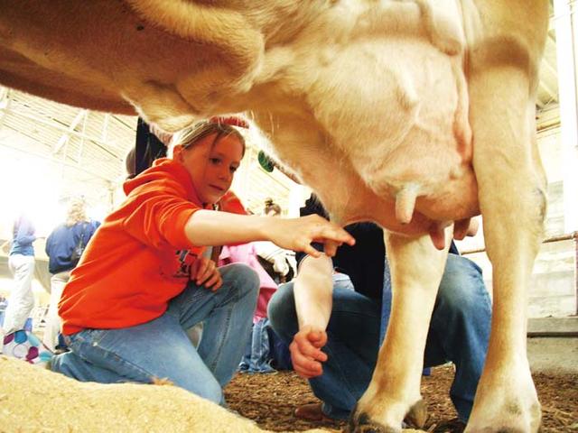 加拿大警方曾截获携布鲁氏杆菌赴华科学家
