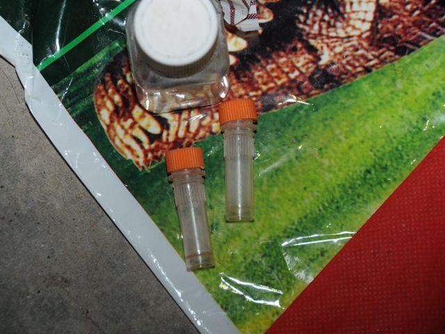 48岁大叔扮女装骗小鲜肉开房 以离婚少妇自居