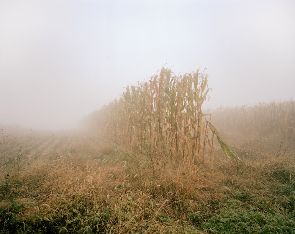 消失的土地,2009年。 消失的土地,2009年。