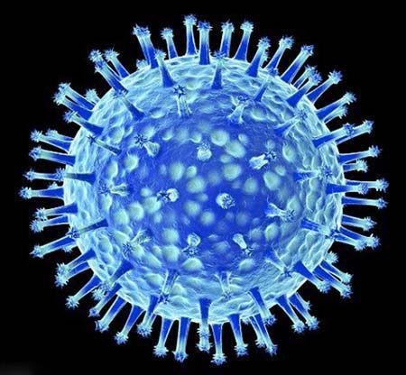H7N9禽流感来袭 如何预防?