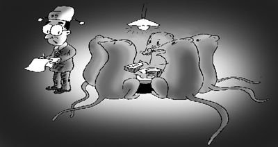 村干部私吞63万元补偿款 大学生村官被迫协助