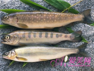 女性养生须知:经期饮食要注意四忌两宜