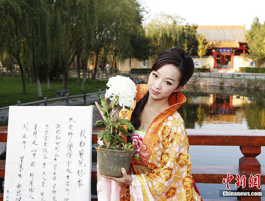 穿越女开封万元卖菊花
