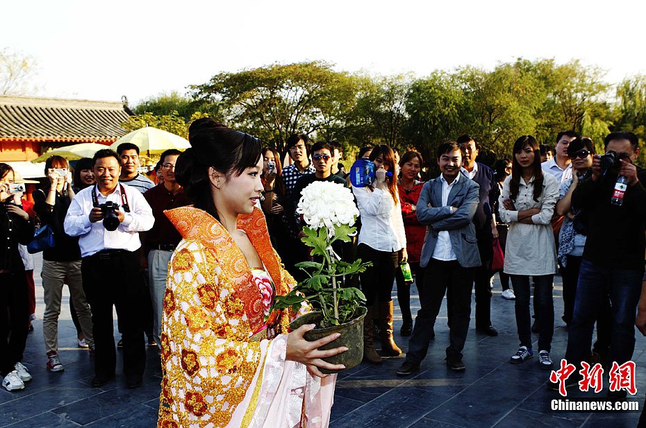 穿越女开封万元卖菊花